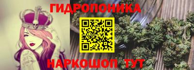 mdpv Мариинск