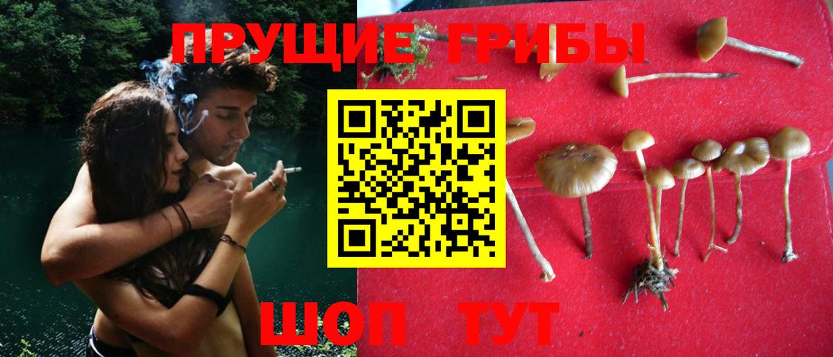 Псилоцибиновые грибы Magic Shrooms  Вход с VPN  Псилоцибиновые грибы Cubensis  Ханты-Мансийск 